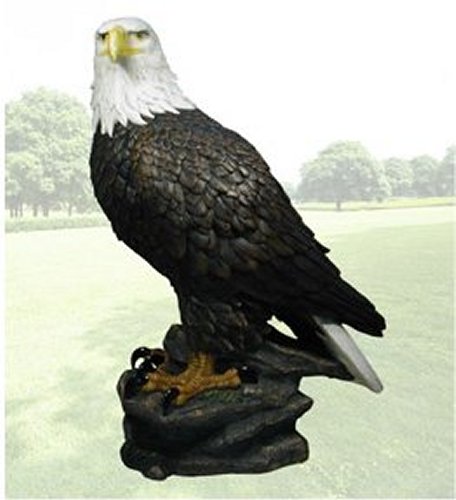 EGD25828 Proud Eagle